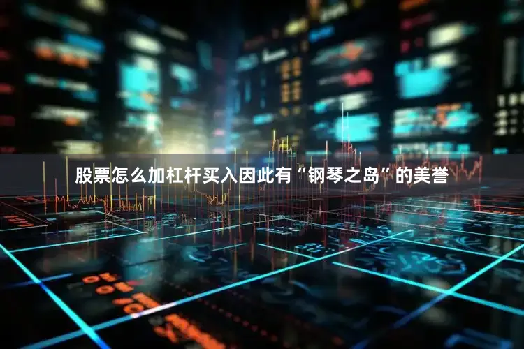 股票怎么加杠杆买入因此有“钢琴之岛”的美誉
