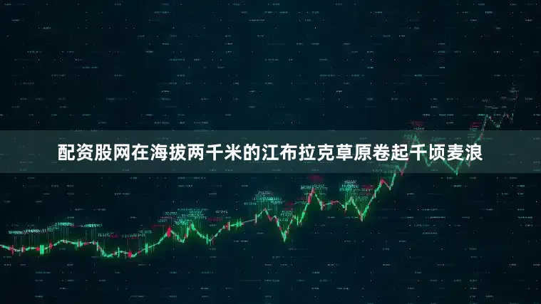配资股网在海拔两千米的江布拉克草原卷起千顷麦浪