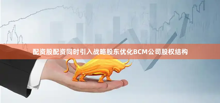 配资股配资同时引入战略股东优化BCM公司股权结构