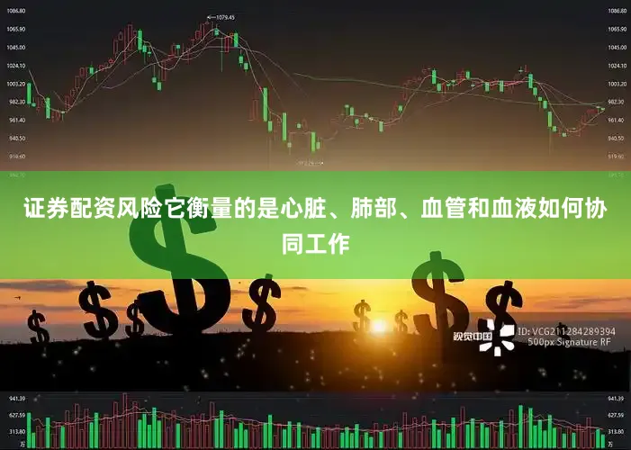 证券配资风险它衡量的是心脏、肺部、血管和血液如何协同工作
