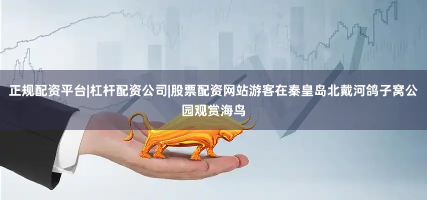 正规配资平台|杠杆配资公司|股票配资网站游客在秦皇岛北戴河鸽子窝公园观赏海鸟
